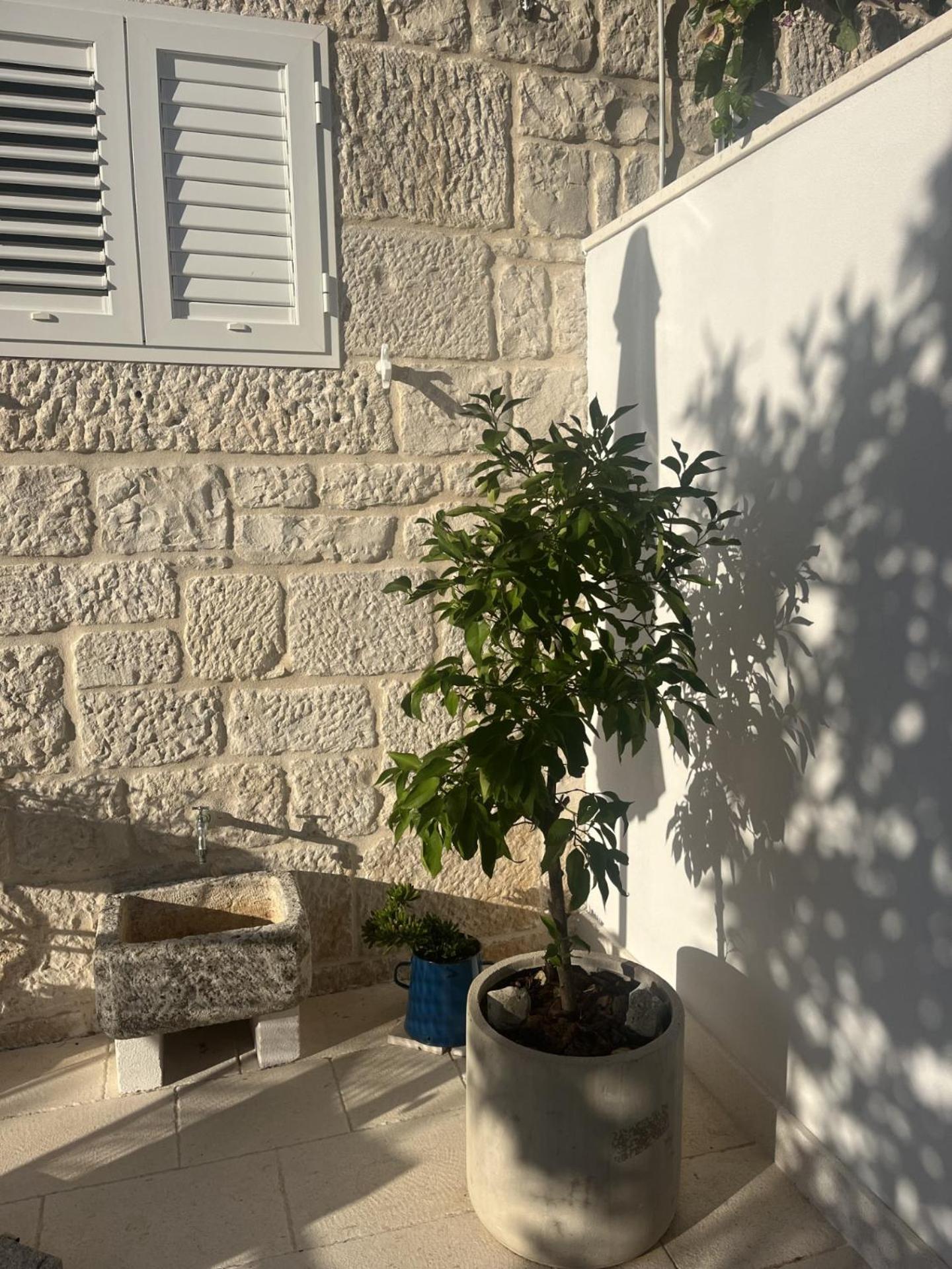 Apartment On The Sunny Side Κόρτσουλα Εξωτερικό φωτογραφία