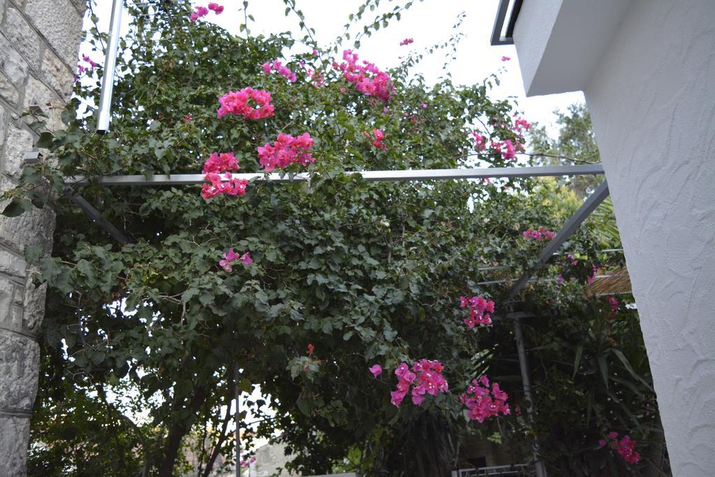 Apartment On The Sunny Side Κόρτσουλα Εξωτερικό φωτογραφία